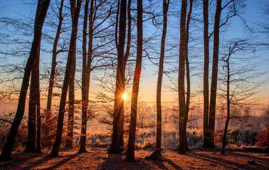 Bushwhacking Guideline for Low Impact